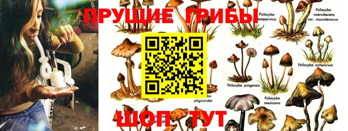 Псилоцибиновые грибы мухоморы  Псилоцибиновые грибы GOLDEN TEACHER  Вход с VPN  Янаул 